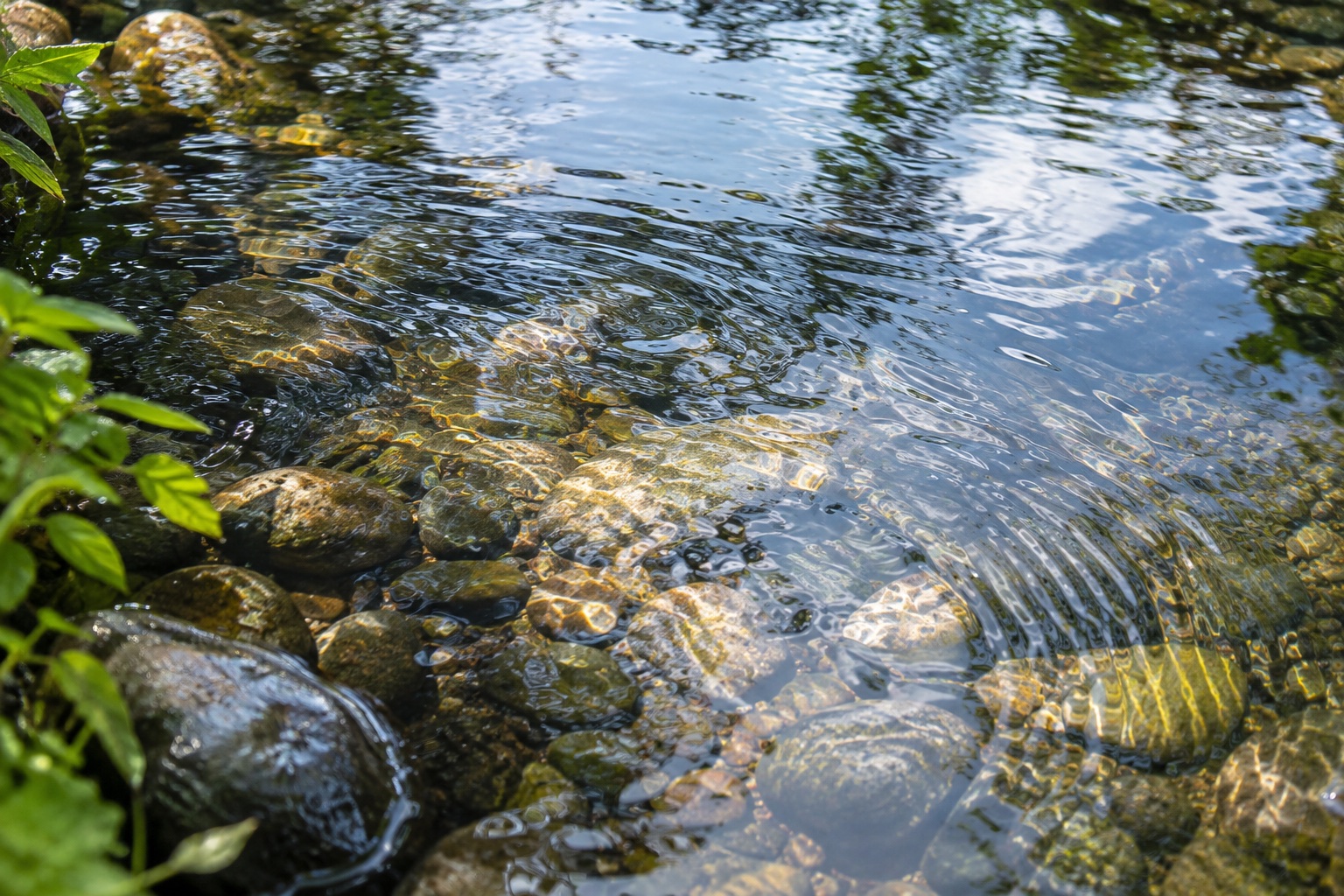 日本の小川の水面と石がつくる自然な模様のイメージ